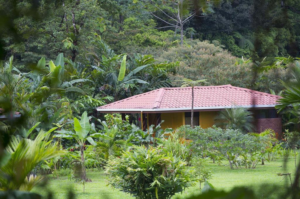 Hotel Catarata Rio Celeste Bijagua de Upala Exterior foto