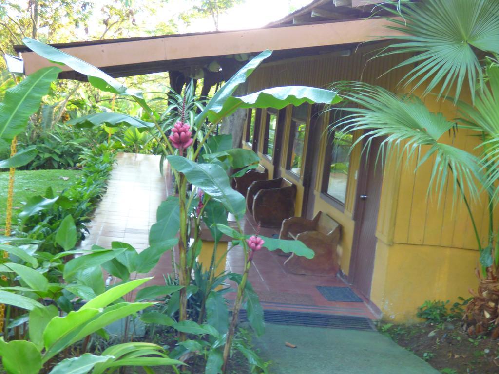 Hotel Catarata Rio Celeste Bijagua de Upala Exterior foto