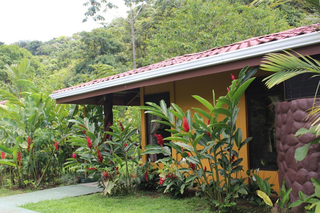 Hotel Catarata Rio Celeste Bijagua de Upala Exterior foto