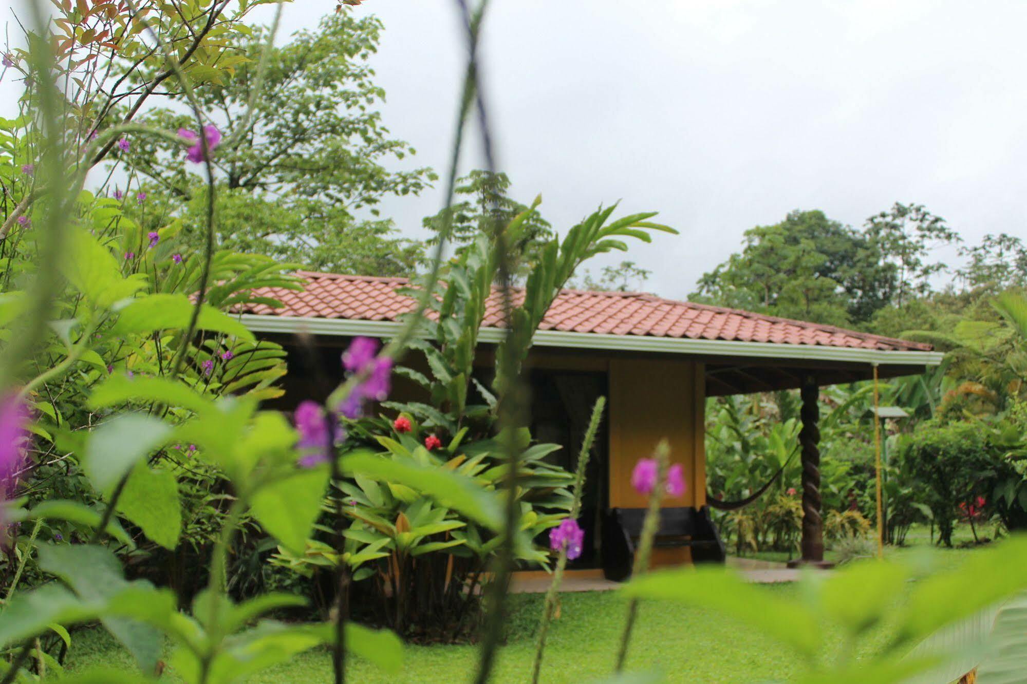 Hotel Catarata Rio Celeste Bijagua de Upala Exterior foto
