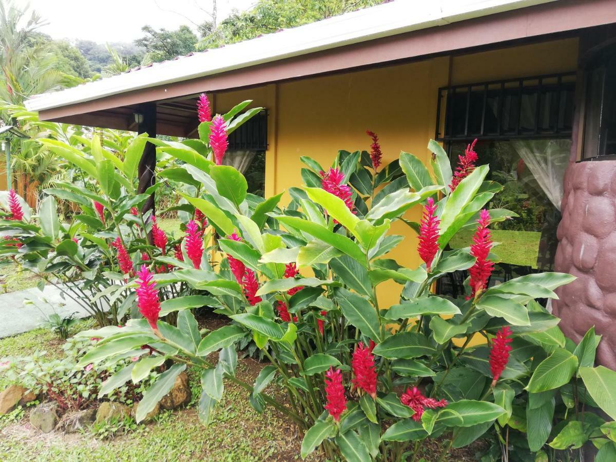 Hotel Catarata Rio Celeste Bijagua de Upala Exterior foto