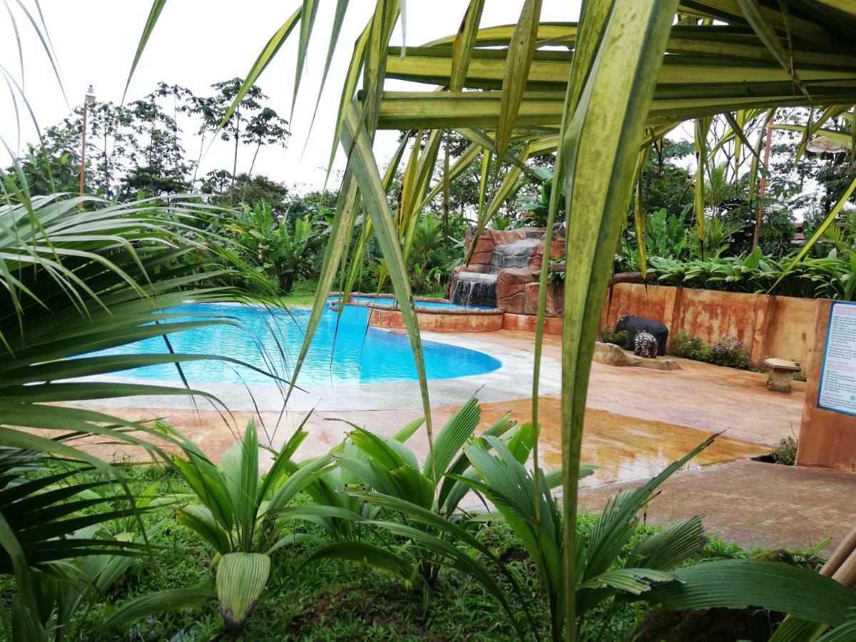 Hotel Catarata Rio Celeste Bijagua de Upala Exterior foto