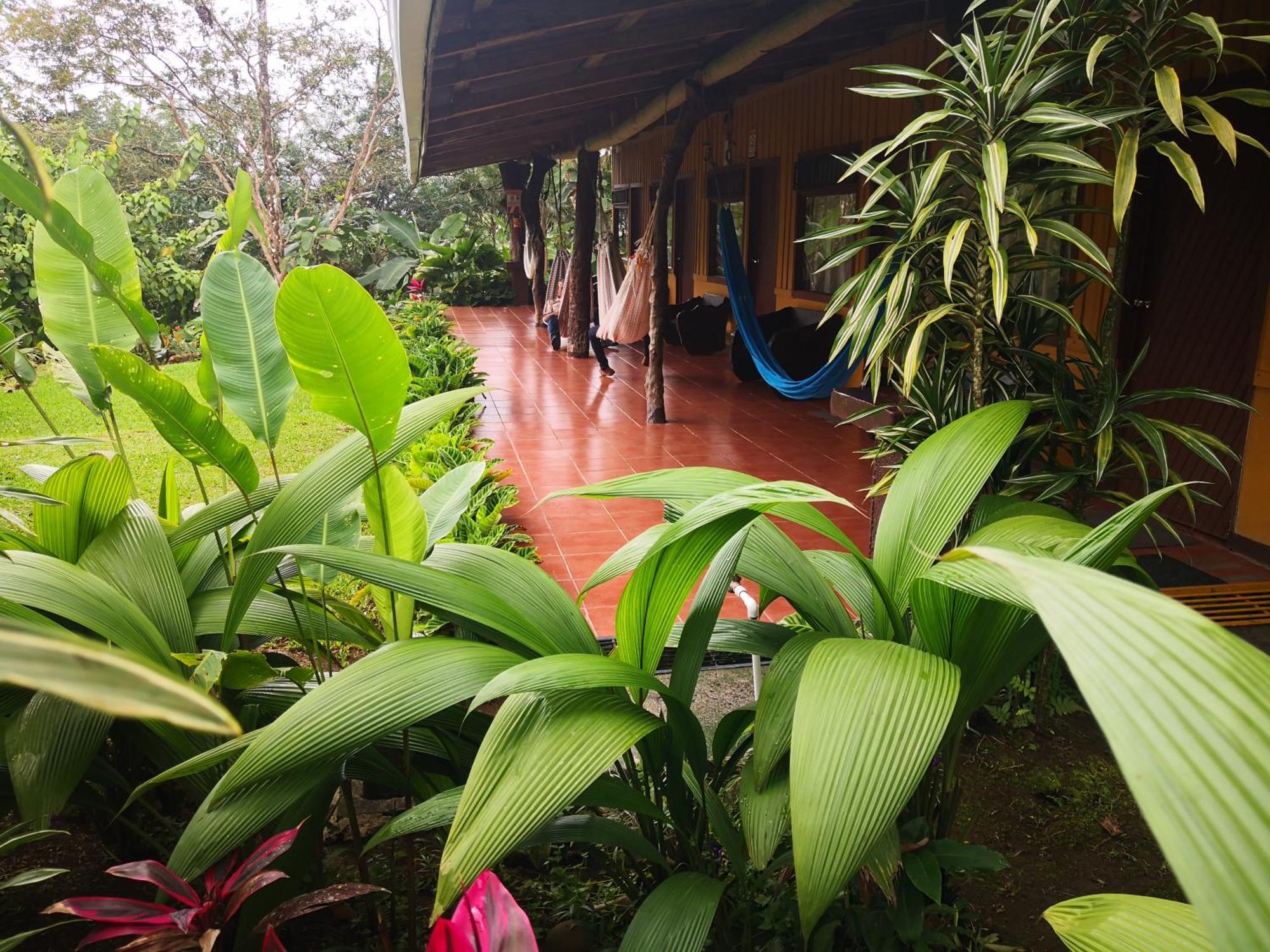 Hotel Catarata Rio Celeste Bijagua de Upala Exterior foto